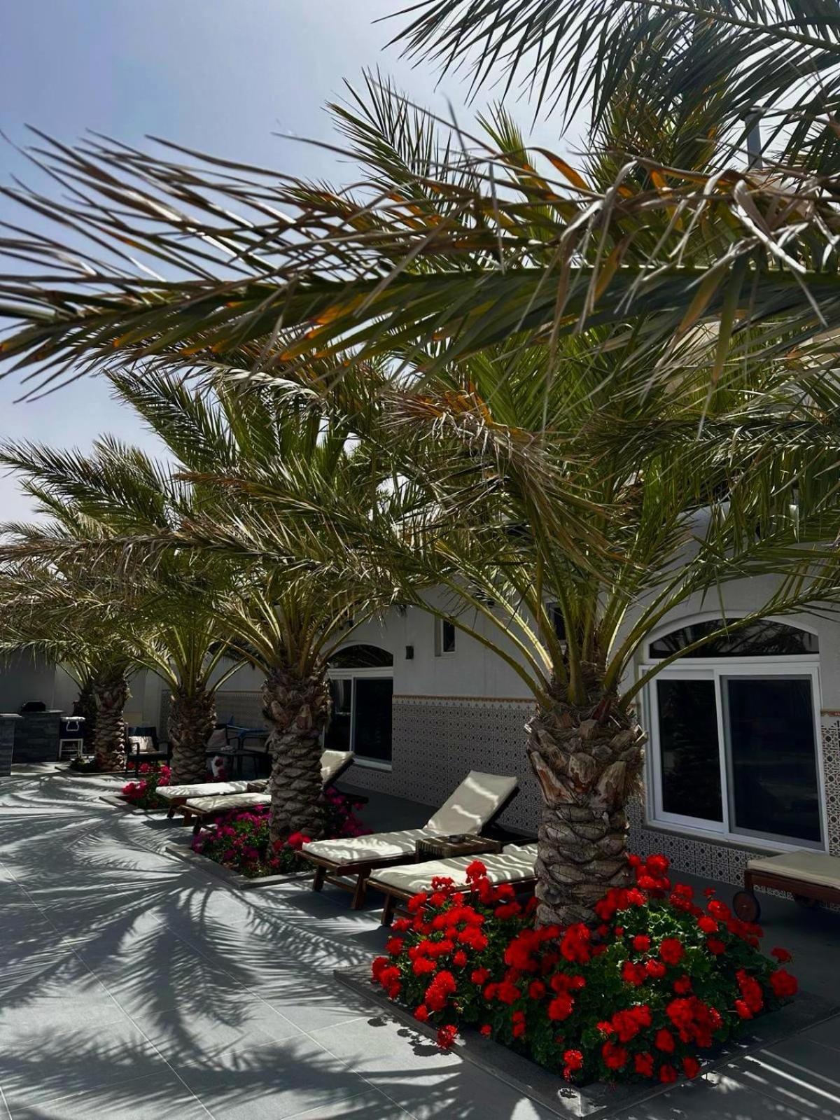 Golden Rays Chalet Madaba Eksteriør billede